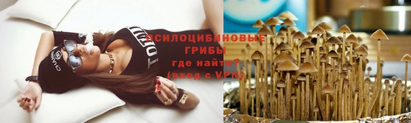 индика Абинск