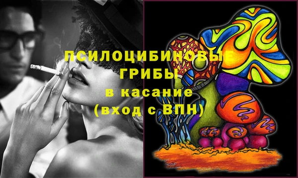 индика Абинск