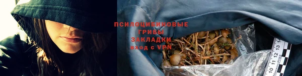 индика Абинск