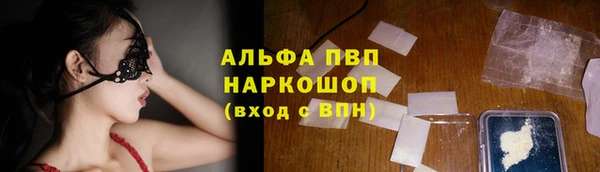 индика Абинск