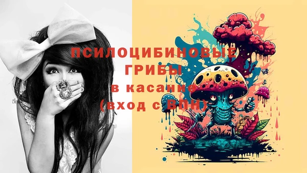 индика Абинск