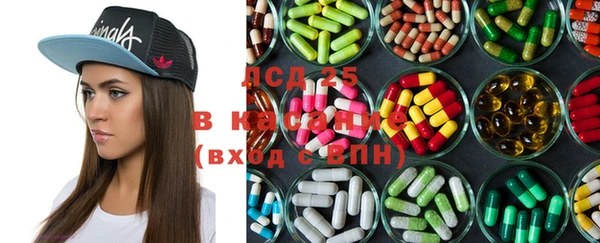 индика Абинск